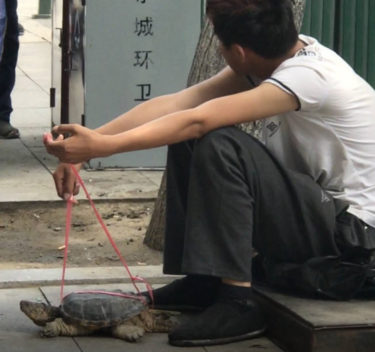 中国のお寺の前で