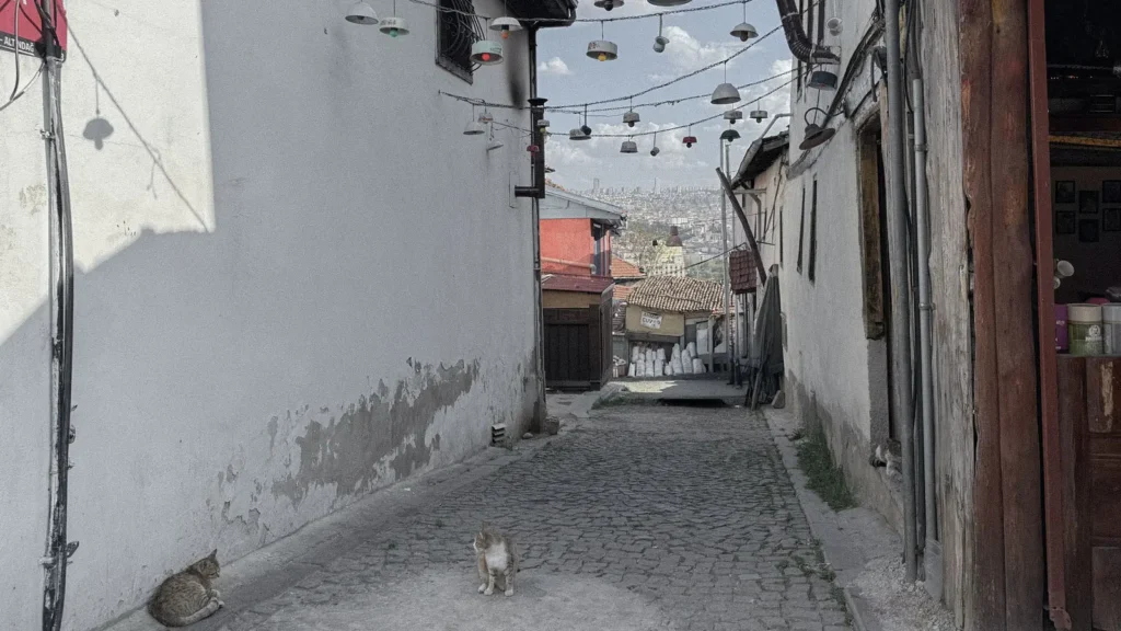 Quiet stone alley in Ulus, Ankara with two cats in the morning