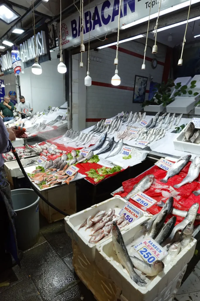 Fresh fish displayed on ice with handwritten price signs inside Ulus Hali